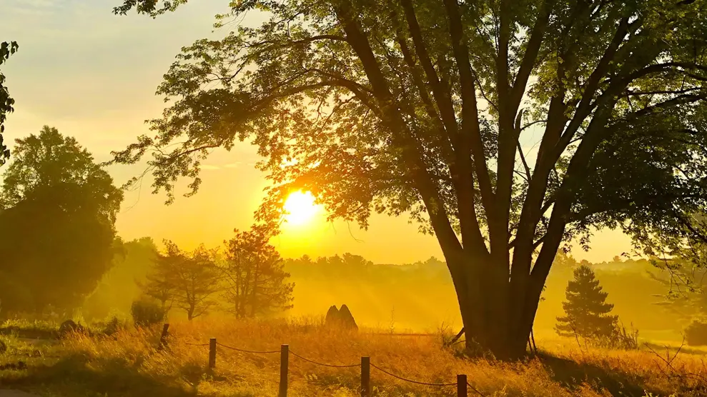 Paisaje de atardecer sereno sobre un campo abierto, símbolo de la paz del momento presente vivido con Dios.